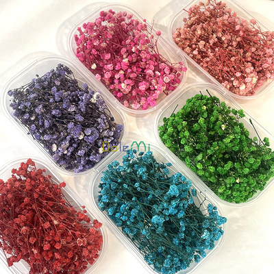 满天星diy永生花材相框