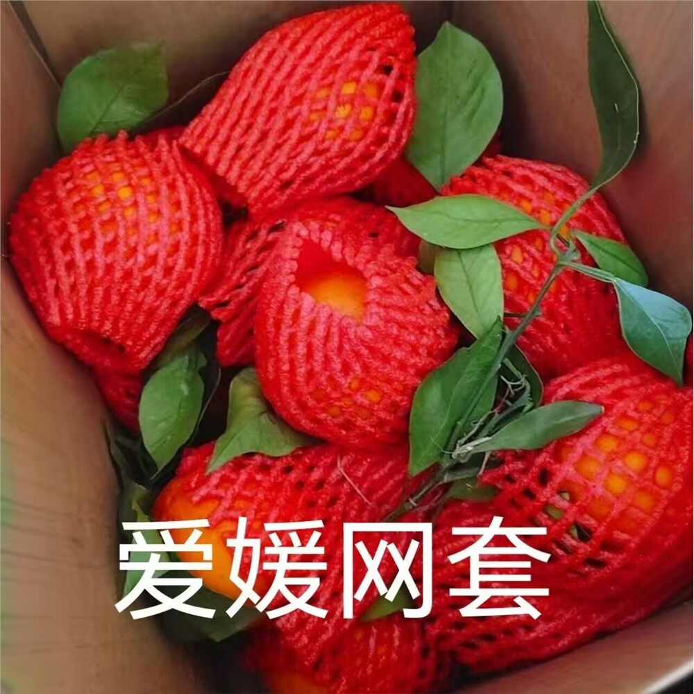 水果网套泡沫橙子李子苹