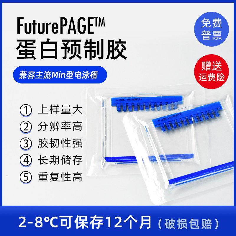 Western blot 蛋白预制胶 SDS-PAGE电泳蛋白胶 MOPS 体系梯度胶