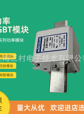 全新熔断器保险丝NH3GS69V250PV NH3GS69V315PV NH3GS69V350PV