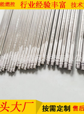 高能点火器 WGD-20 AC220/输入电压：AC220v输出电压DC:2500V