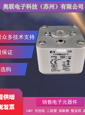 熔断器 170M5494 170M5495 170M5496 170M5497 170M5498 170M5499