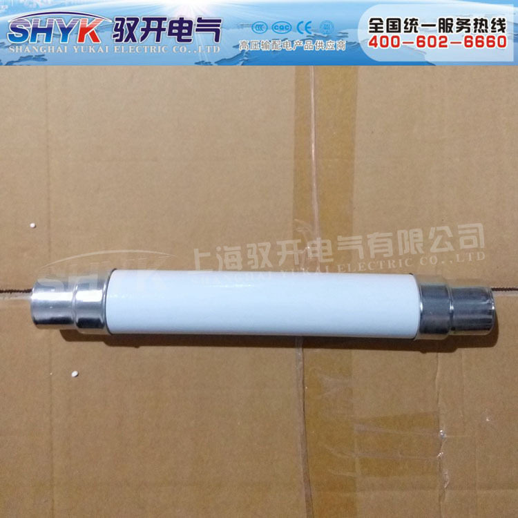 高压限流熔断器XRNT-10/1~40A高压熔丝
