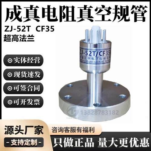 粗低真空测量成真正华规管ZJ-52TCF35电阻真空规管快卸法兰450℃