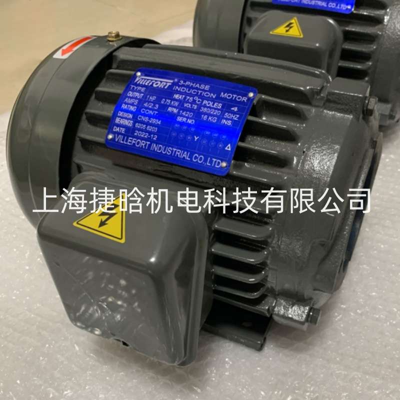 VILLEFORT液压电机 油泵电机组 3-PHASE INDUCTION MOTOR