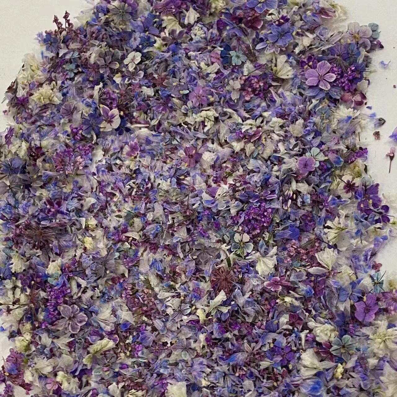 日系小清新混色干花碎花美甲彩色花瓣装饰品指甲配件混装花材批发