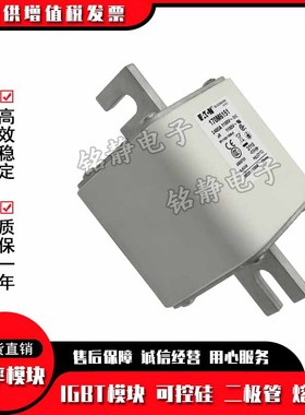 170M6694 170M6695 170M6696 170M6697巴斯曼熔断器现货型号齐全