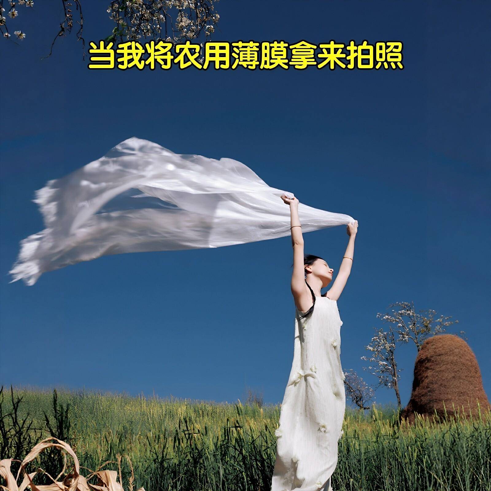 【一分钟拍照灵感】春日麦田拍照道具飘逸薄膜女生仙气出片小神器图片