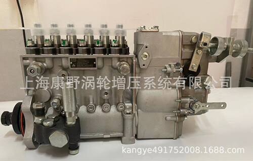 原装喷油泵1002574 B6P460B和B6P462B和 B4PN411F1E和 B6HD1845
