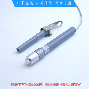 并联电容器单台保护高压熔断器BRW3BR2 15A20A25A30A50A100A BR2W