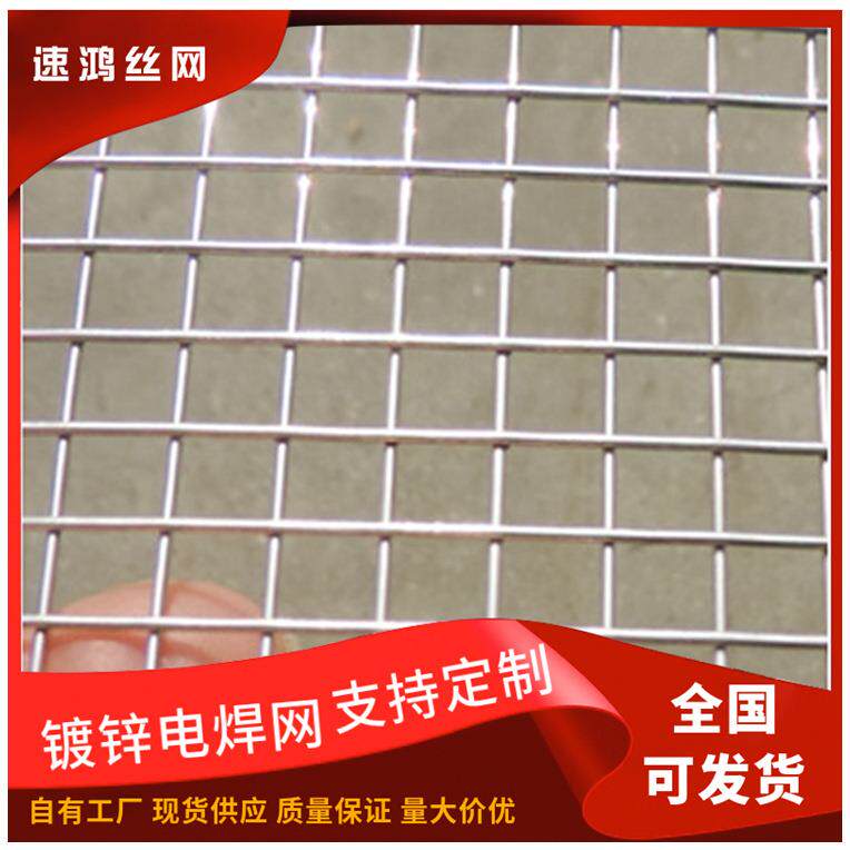 工厂现货墙面抹墙网小丝铁丝网热镀锌电焊网内外墙防裂抹灰网