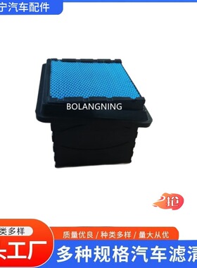 空气滤芯2517298C1 2602212C1 2602212 AF4222 P616050 P623400