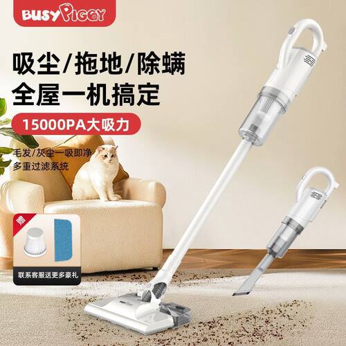 BUSYPIGGY吸尘器吸拖一体机家用小型手持式大吸力吸尘机除尘除螨