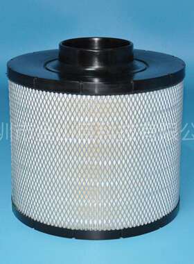 长效发电机组空气滤清器船用发电机组B100094ECB100094