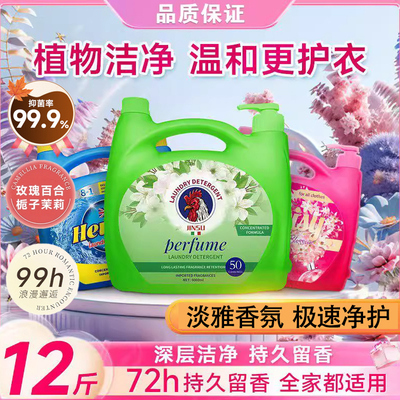 正品金苏大公鸡洗衣液去污大容量