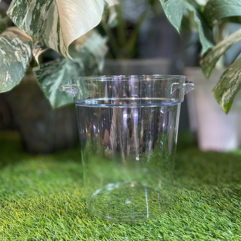 热带植物龟背竹透明圆形加厚水培种植桶塑料花盆外用套盆专用花烛