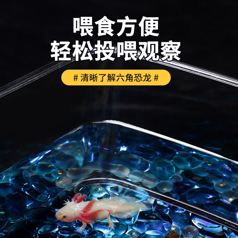 六角恐龙缸高清透明塑料桌面生态鱼缸仿玻璃蝾螈金鱼饲养缸