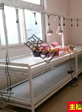 花架多层水日落地台排37241风扇补光灯养多肉阳浇式块根植物不锈