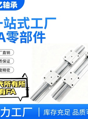 SSLMS-16/20/25/30/35-340-640-850-2直线轴承带滑块导轨SS承轨式