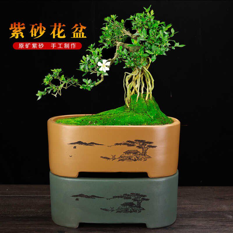 速发宜兴紫砂盆景树盆发财大榕花迎客松幸福树灵芝老桩盆特树长方