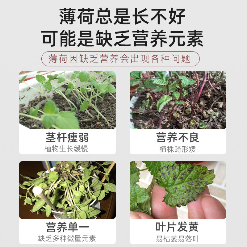 薄荷专用缓释肥复合肥家用型控z释颗粒植物盆栽绿植花卉养花肥料