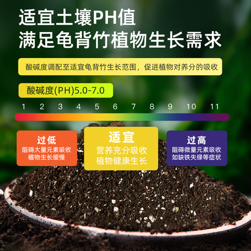 龟背竹专用土壤营养土花土泥土z配土肥料观叶植物天南星科土竹芋