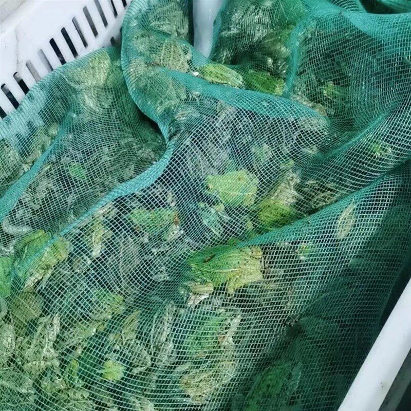 网袋子装青蛙网兜水产v网袋牛蛙包装袋活禽尼龙袋水产塑料框子