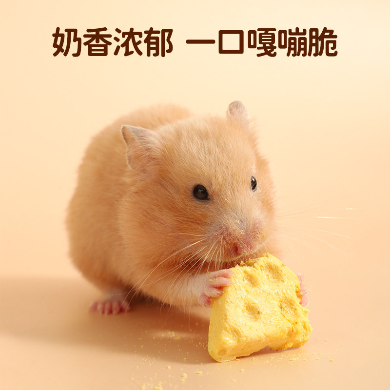 仓鼠奶酪磨牙棒冻干零食金丝熊花枝鼠刺猬蜜袋鼯营养粮食鼠粮用品