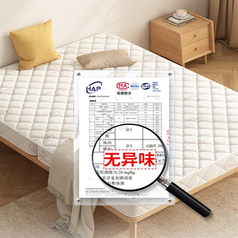榻榻米垫子定制床垫软垫家用可定制学生宿舍乳胶打地铺睡觉炕垫子