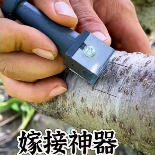 园林枝嫁接刀果树嫁接器 修枝园艺嫁接神器 双刀嫁接刀园林工具