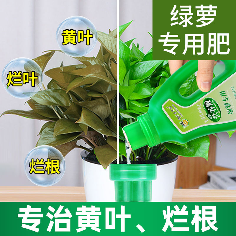 绿萝植物营养液专用肥土水培养花吊兰发财树家用浓缩通用型花肥料