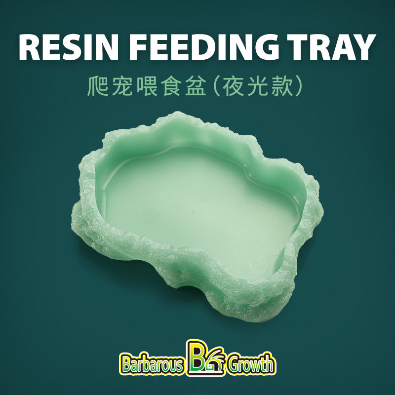 爬宠仿岩石造型食盆水盆爬虫蜥蜴陆龟角蛙守宫夜光喂食饮水器