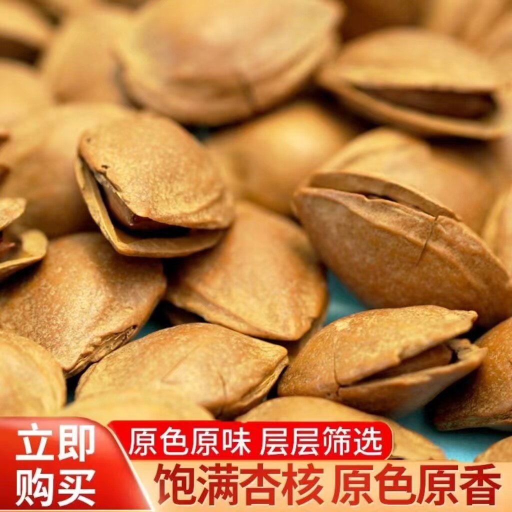 厂家补贴新货开口杏核小白杏仁坚果散装手剥薄壳休闲零食炒货原味