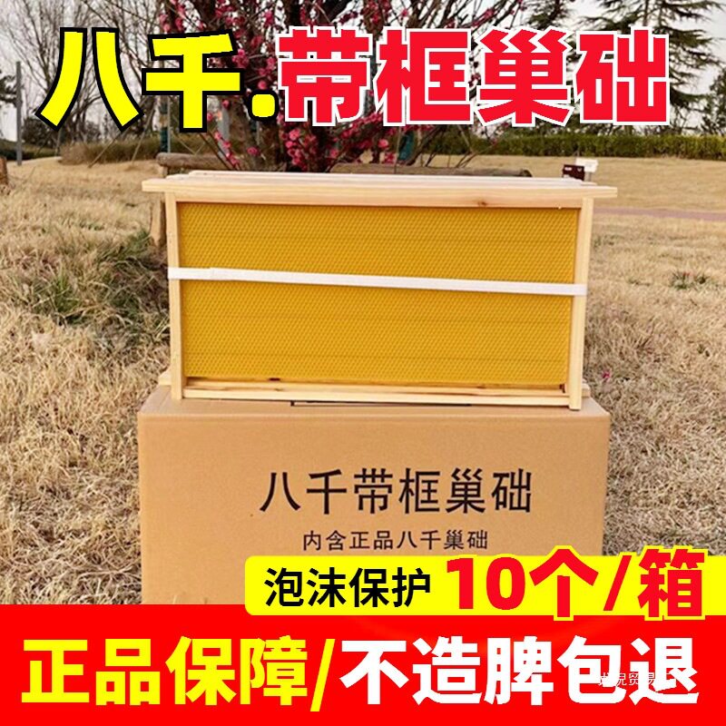 批发中蜂巢础巢框成品八千带框蜂巢意蜂巢脾蜜蜂巢基蜂箱工具