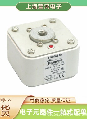 170M6959 170M6960 170M6961 170M6962原装 熔断器熔芯保险丝