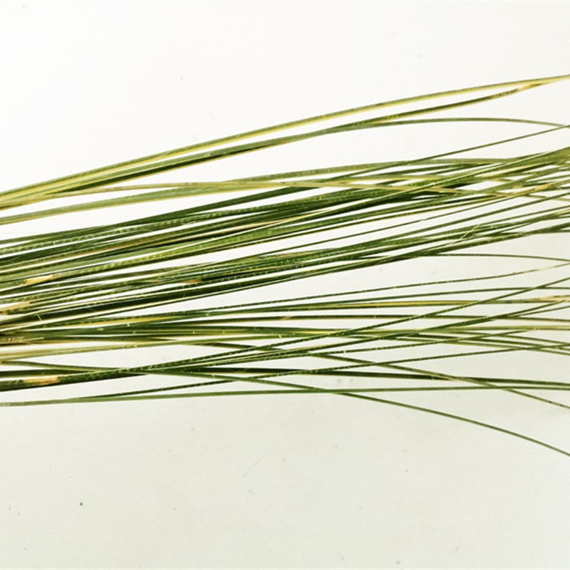 广宁竹竹蔑片竹编条diy手工模型竹藤条 竹丝扁条鱼灯风筝灯笼材料