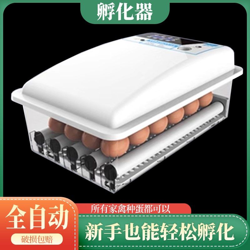 蛋掌门智能小鸡种蛋孵化器孵化箱全自动家用柯尔鸭蛋水床恒温孵化