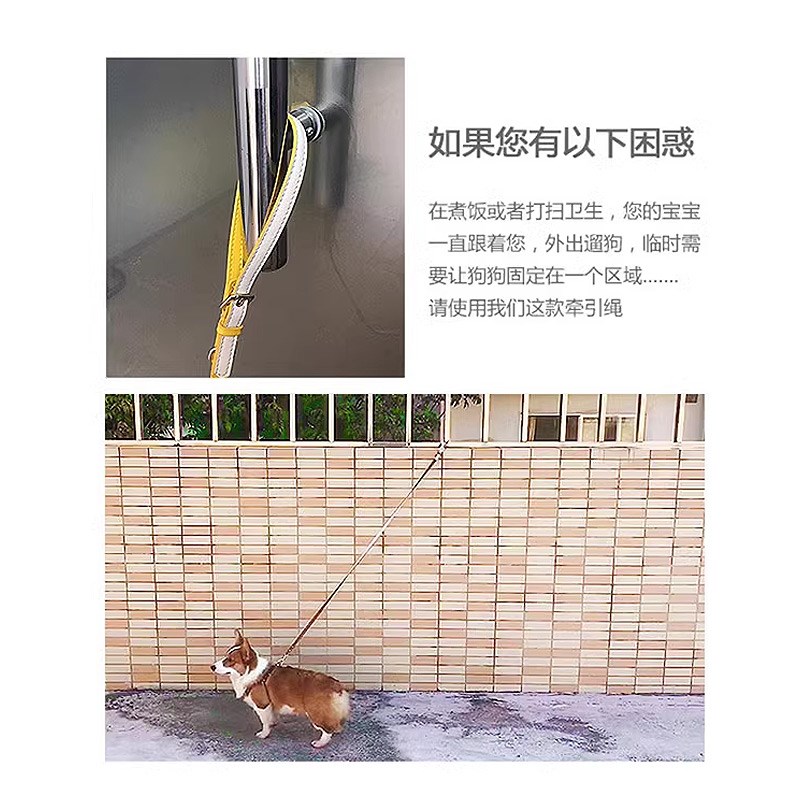 溜狗狗牵引绳子小型犬中型小体比熊泰迪单独狗绳固定器宠物用品