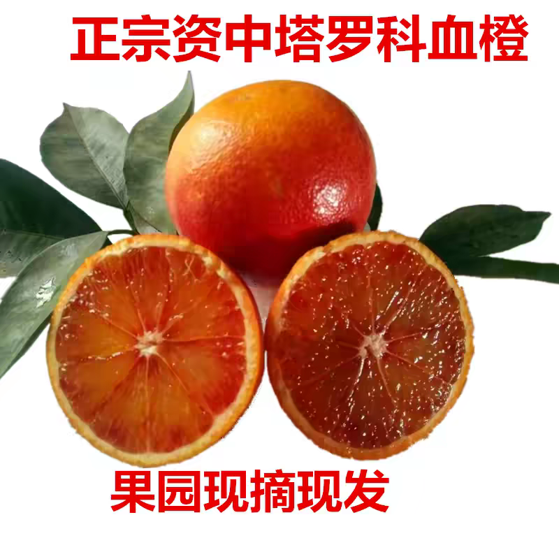 正宗四川资中塔罗科血橙新鲜水果现摘红肉橙子手剥玫瑰橙超甜包邮,水产肉类/新鲜蔬果/熟食,橙,淘宝优惠券,粉丝福利购,淘宝优惠卷