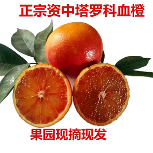 正宗四川资中塔罗科血橙新鲜水果现摘红肉橙子手剥玫瑰橙超甜包邮