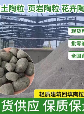厂家直供工程建筑陶粒卫生间回填高强度灰色粘土整车批发隔热保温