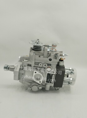 0460416069工程机械发动机燃油泵VE6/11F1350R417-1