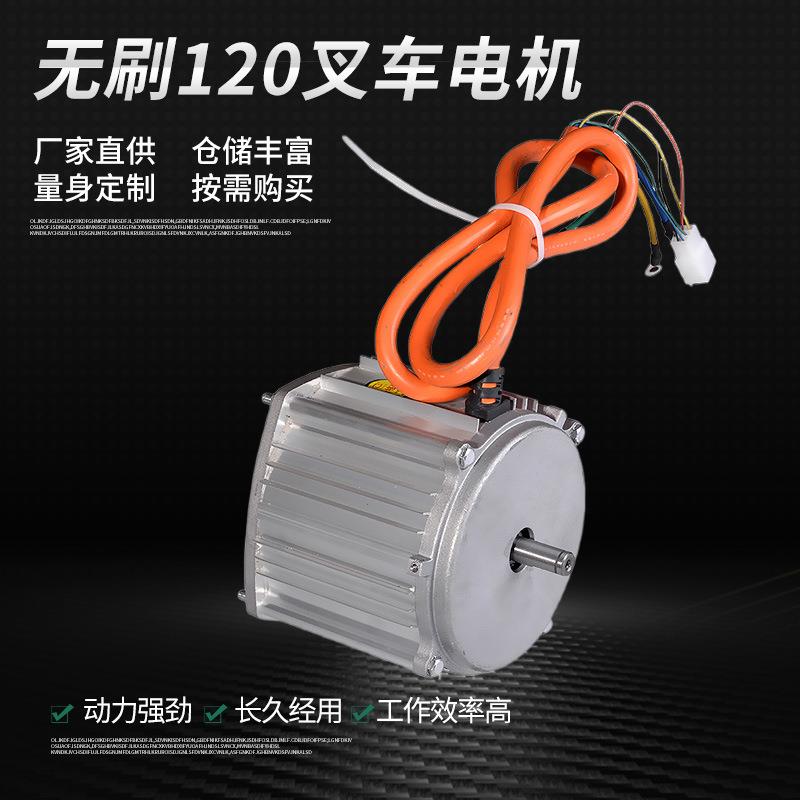 厂家直销无刷120型号差速电动车电瓶车直流无刷电机铜芯链条电机
