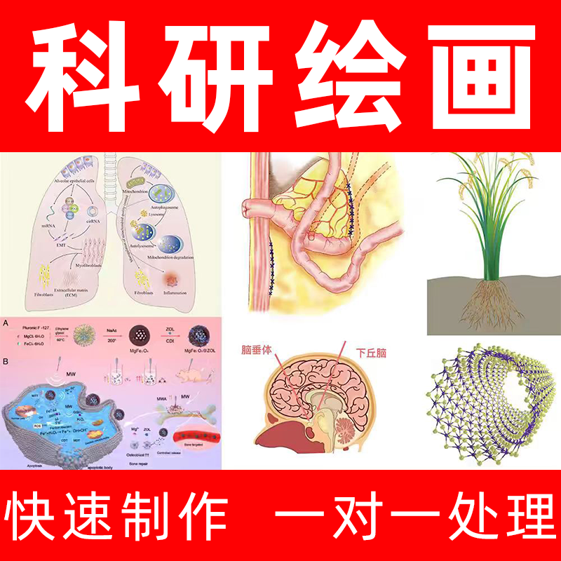 科研代画绘图图片数据PPT制作origin期刊封面SCI化学医学TOC3D2D