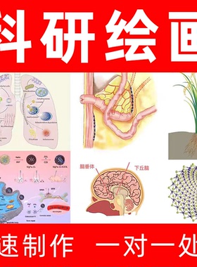 科研代画绘图图片数据PPT制作origin期刊封面SCI化学医学TOC3D2D