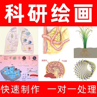 科研代画绘图图片数据PPT制作origin期刊封面SCI化学医学TOC3D2D