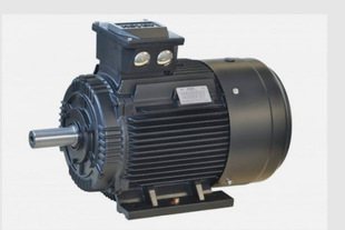 IE3 霍尔HOYER异步低压三相TEFV鼠笼电机400V Hoyer – 3KW功率