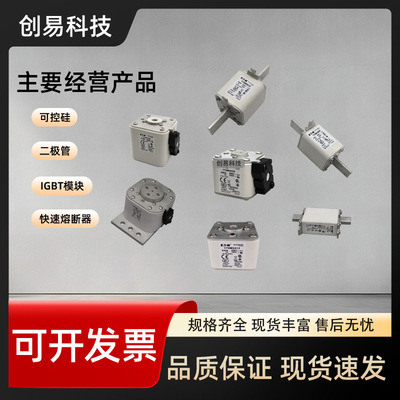 170M5308 170M5309 170M5310 170M5311 170M5312熔断器170M系列