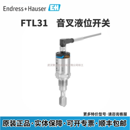 E+H 音叉液位开关FTL31-AA4U3BAWBJ