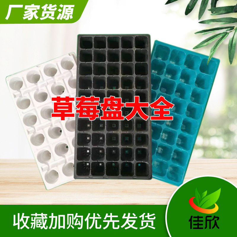 白色蓝色黑色24孔滴灌带草莓加厚育苗盘秧苗盘50孔桉树塑料穴盘